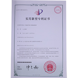 金比莱荣誉证书 (12)